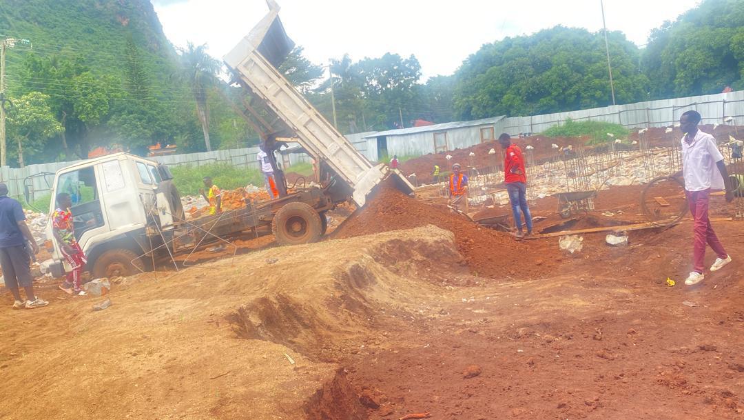 Professional roofers